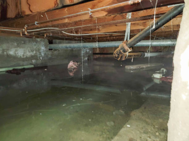 Best 24/7 water damage repair  in North Liberty, IN
