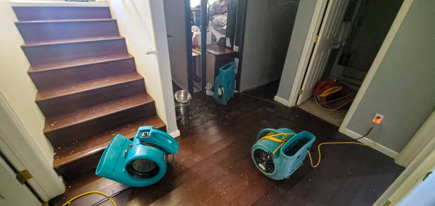 Best Water damage contractors near me  in North Liberty, IN