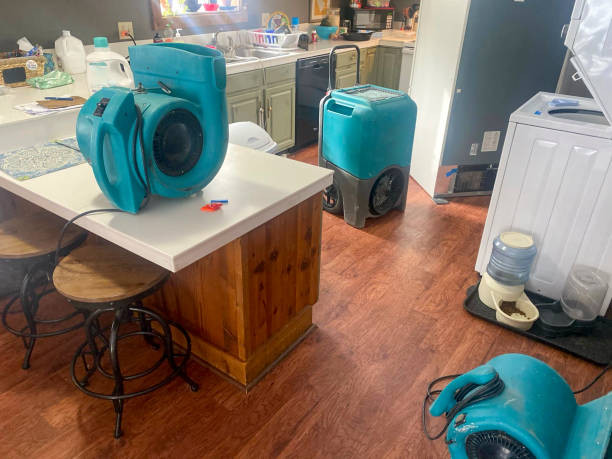 Best Carpet water damage restoration  in North Liberty, IN