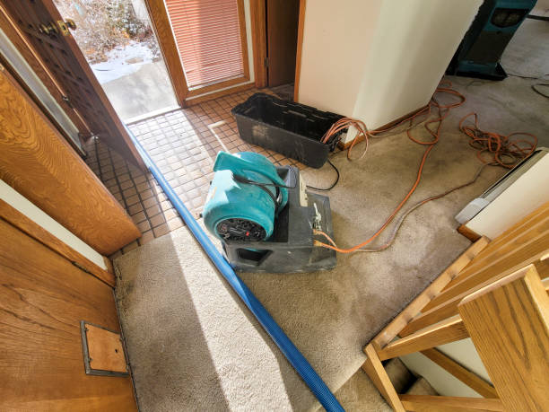 Best Water damage restoration mold remediation  in North Liberty, IN