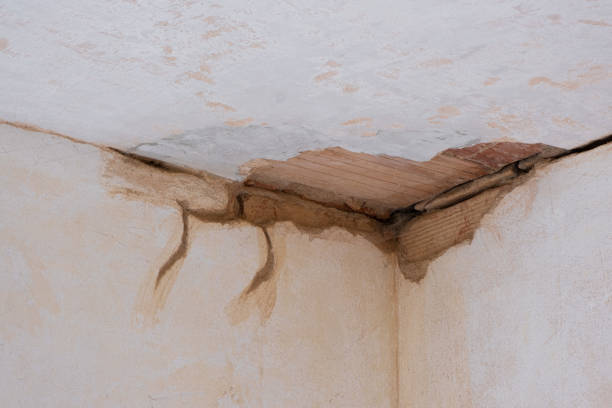 Best Fire Damage Restoration  in North Liberty, IN