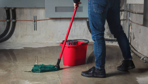 Best Mold removal after water damage  in North Liberty, IN