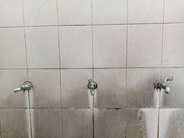Best Professional water damage repair  in North Liberty, IN